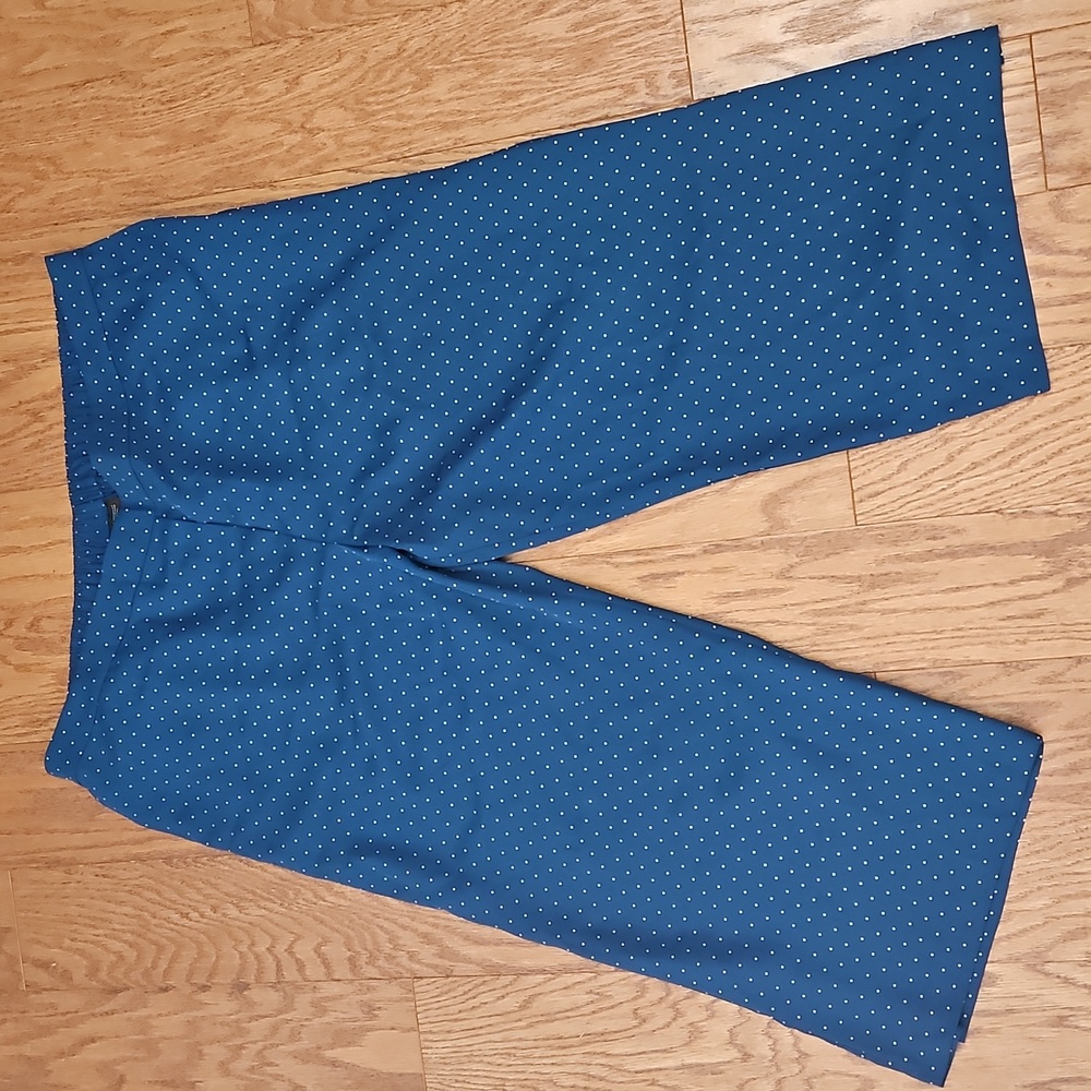 J‎ Jill Wearever Women's Dark Teal / Swiss Dot Wide Leg Cropped Pants Sz 3X - Picture 2 of 5